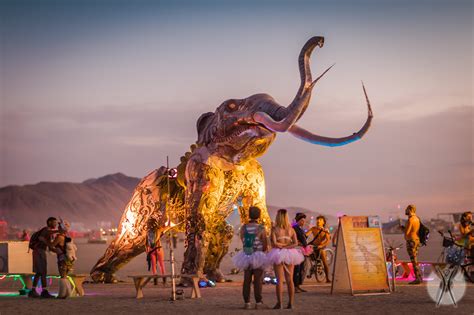 burning man sex xxx|Burning Man Event: American Nudist Redhead Porn 